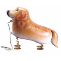 Golden Retriever dog walking foil balloon 29" (without helium)