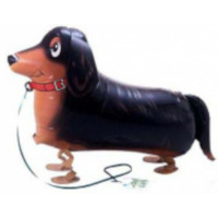 Dachshund dog walking foil balloon 27" (without helium)