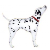 Dalmatiner hund figur folie ballon 36" / 80 cm (uden helium)